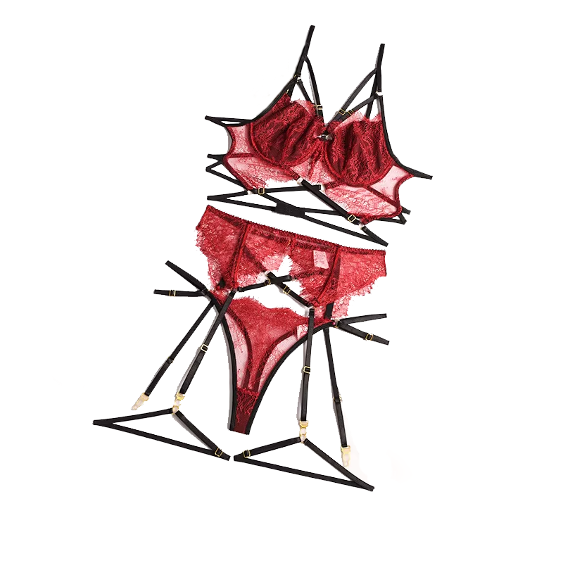 Sheer Bra Lace - Lencería Sexy de encaje transparente, ropa