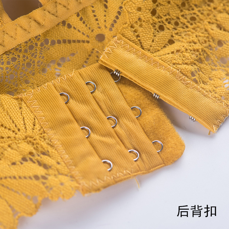 Lencería de encaje 3D para muj - Sheer Bra Lace reseña y precio